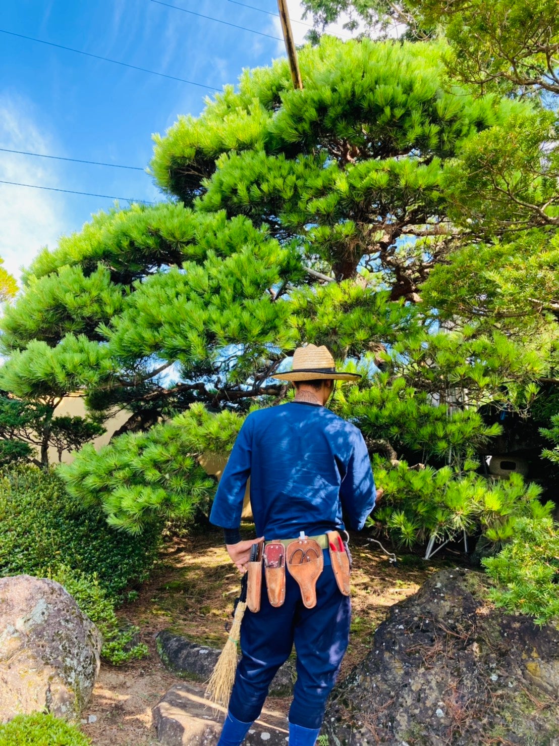 類まれなスキルで“唯一無二の美しいお庭”をお作りします！の写真