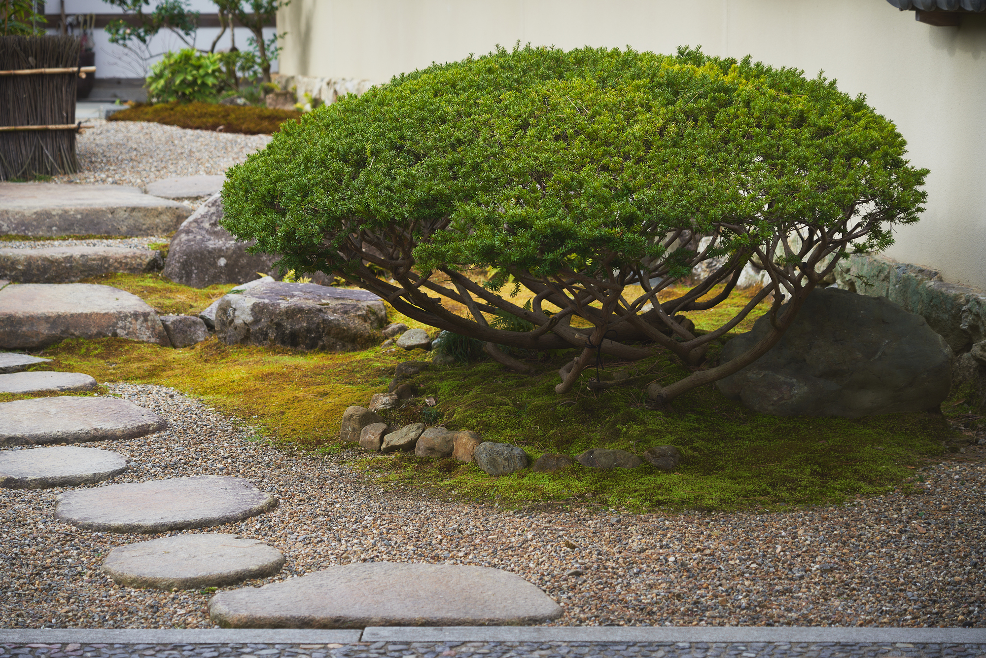 蓮ノ庭園の紹介写真_1枚目