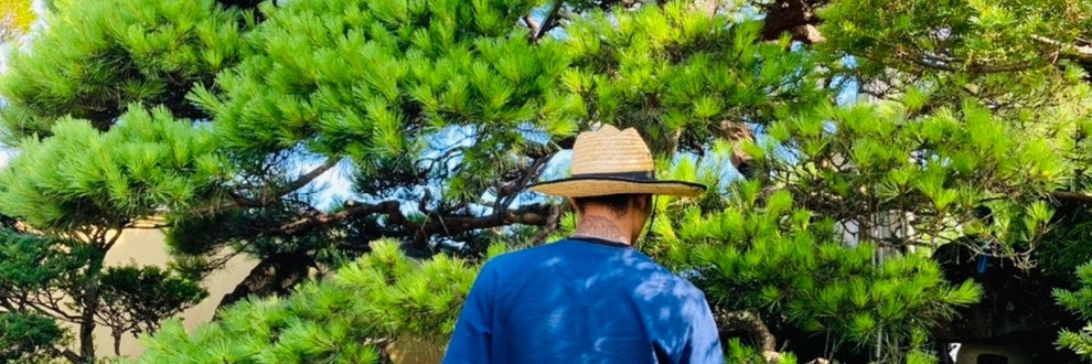 蓮ノ庭園の画像