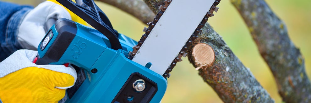 蓮ノ庭園の画像