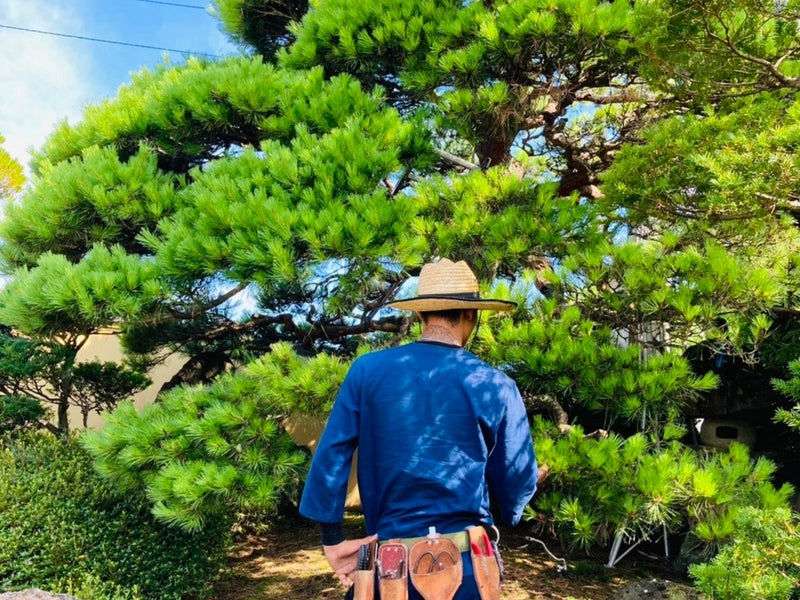 蓮ノ庭園の画像