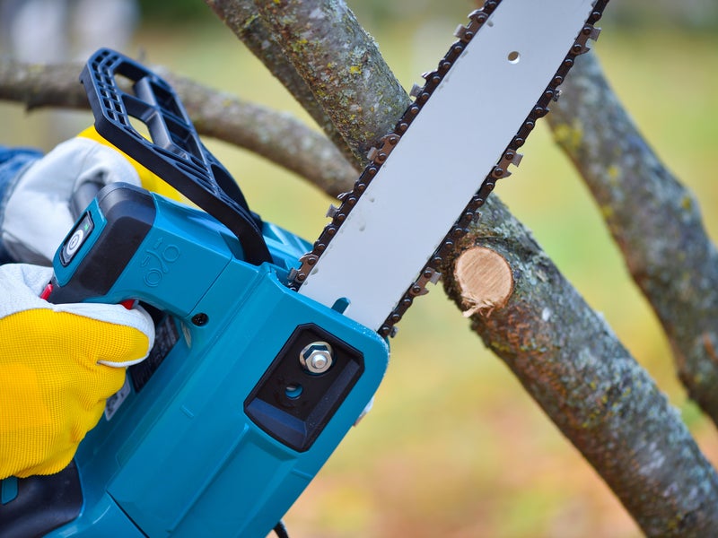 蓮ノ庭園の画像