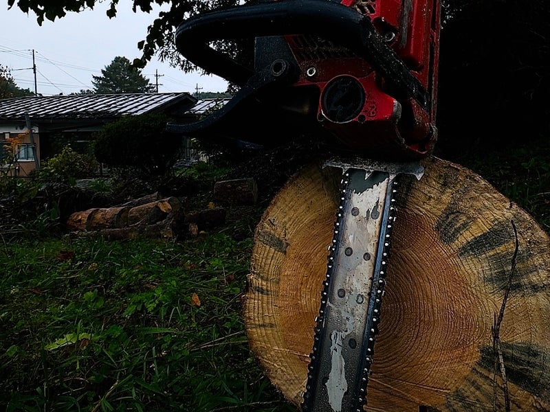 蓮ノ庭園の画像
